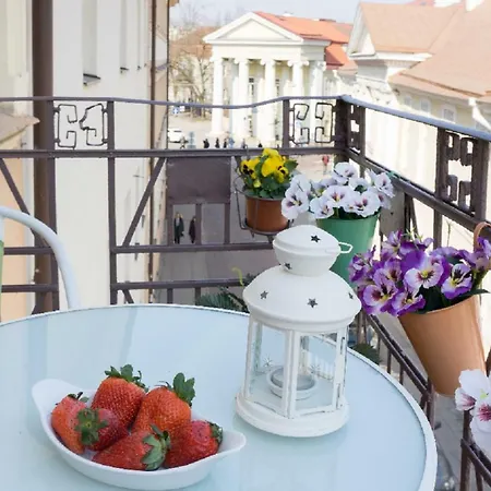 Old Town With Balcony, 7 Sleeping Places, 2baths * Vilnius